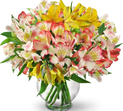 Seithel's Florist in Charleston, SC